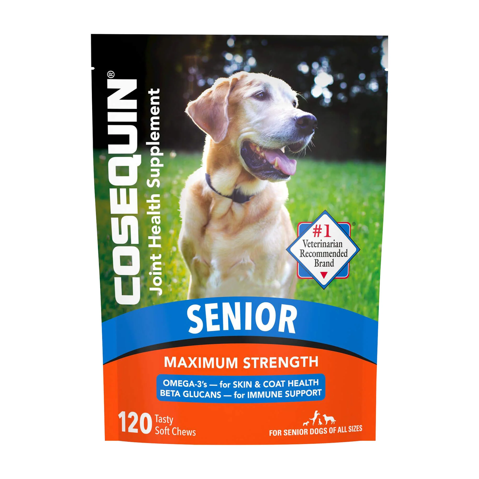 Nutramax Cosequin Senior Joint Health Supplement for Senior Dogs, 120 Soft Chews - Buy Pet Shop
