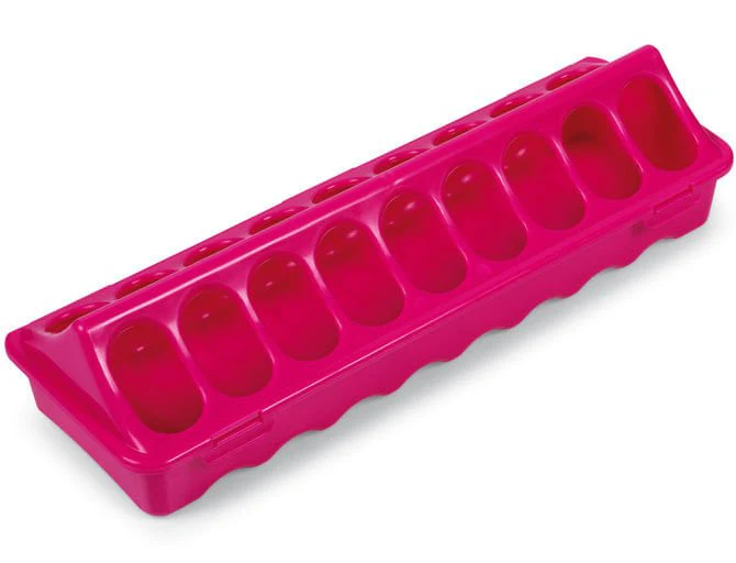 Ground Chicken Feeder, Medium - Buy Pet Shop