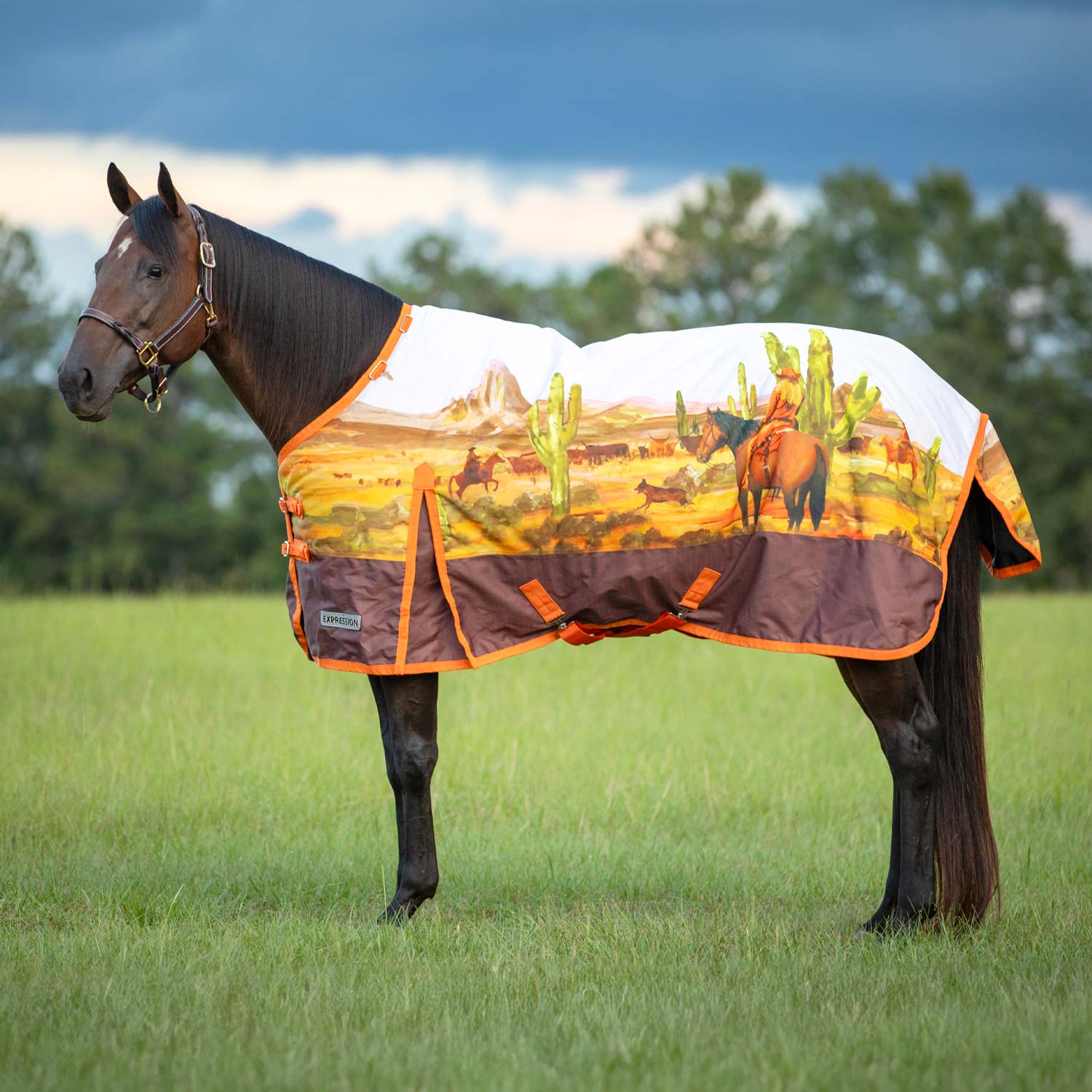 Expression 1200 Denier Standard Neck Turnout Blanket, 240 Gram, Cattle Drive - Buy Pet Shop
