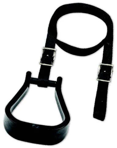 Mustang's Mounting Stirrup - Buy Pet Shop