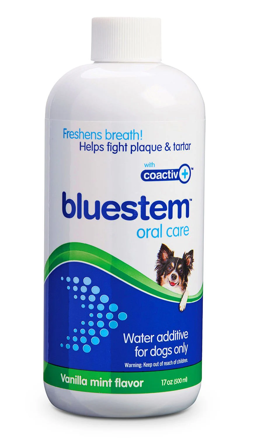 bluestem Water Additive for Dogs Only, Vanilla-Mint, 17 fl oz - Buy Pet Shop