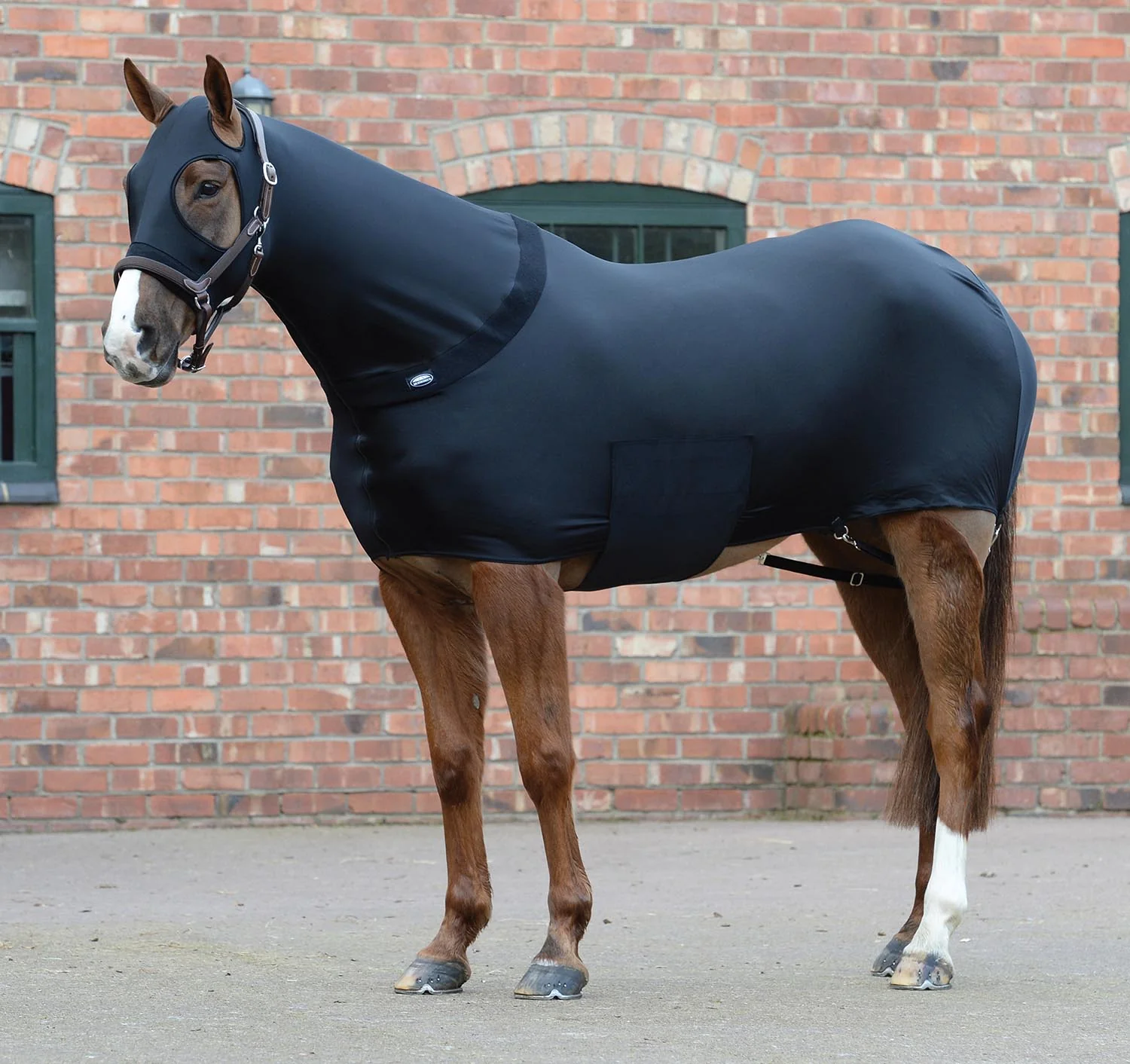 WeatherBeeta Stretch Lycra Horse Rug, Black - Buy Pet Shop