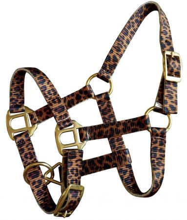 Showman Mini Halter in Patterns - Buy Pet Shop