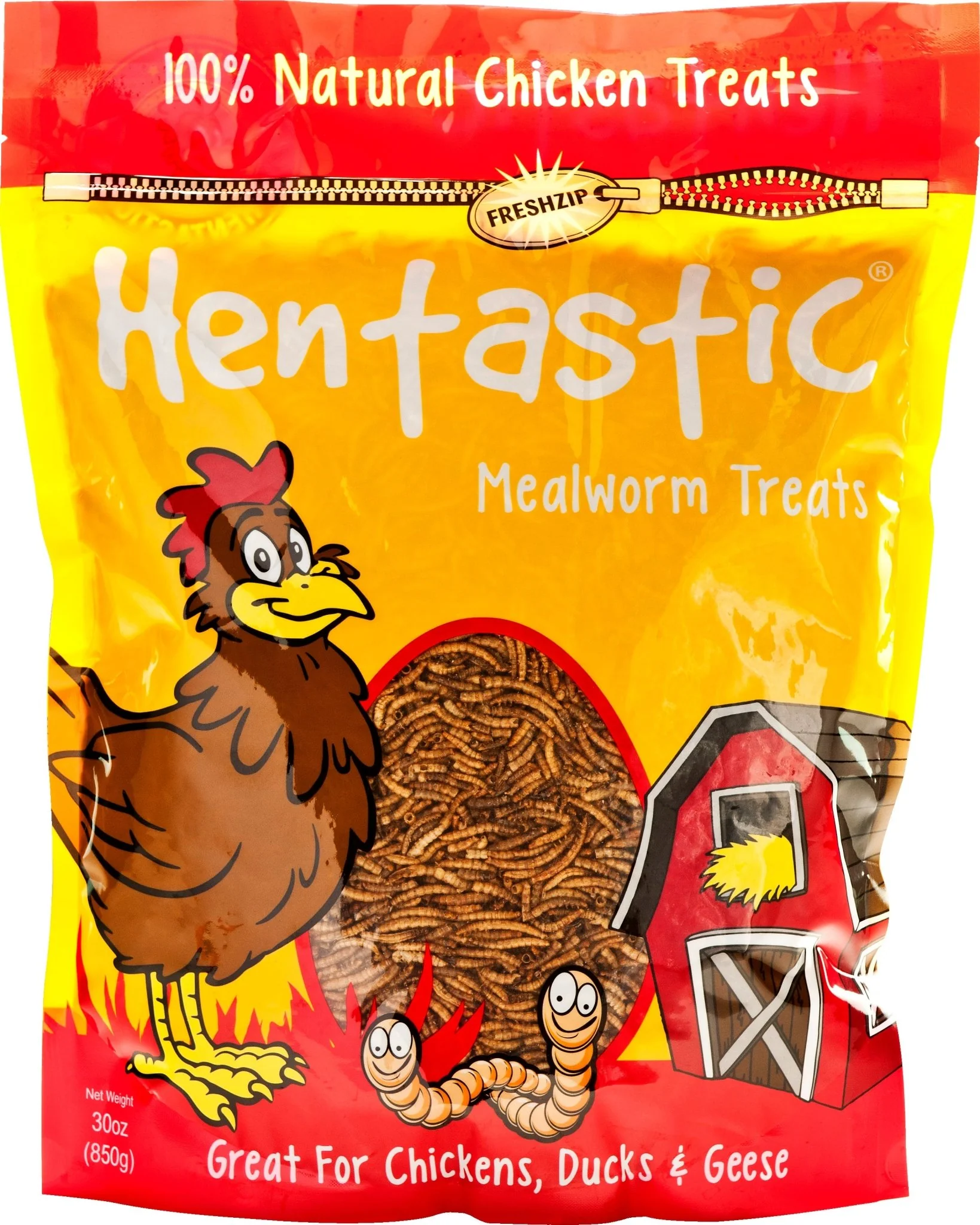 Hentastic Dried Mealworms - Buy Pet Shop