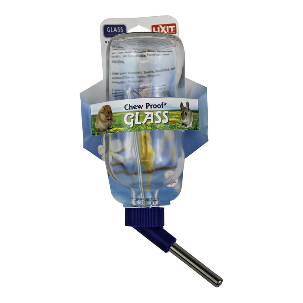 Lixit Glass Water Bottle, 8 oz - Buy Pet Shop