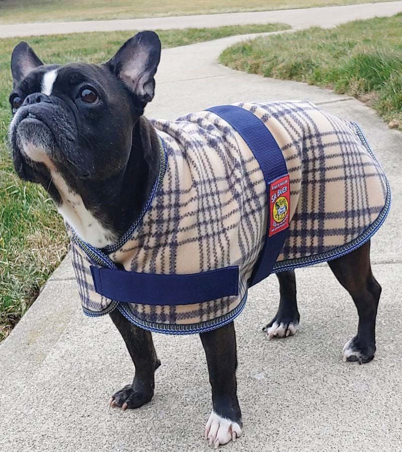 Baker 5/A Bakerfleece Dog Blanket - Buy Pet Shop