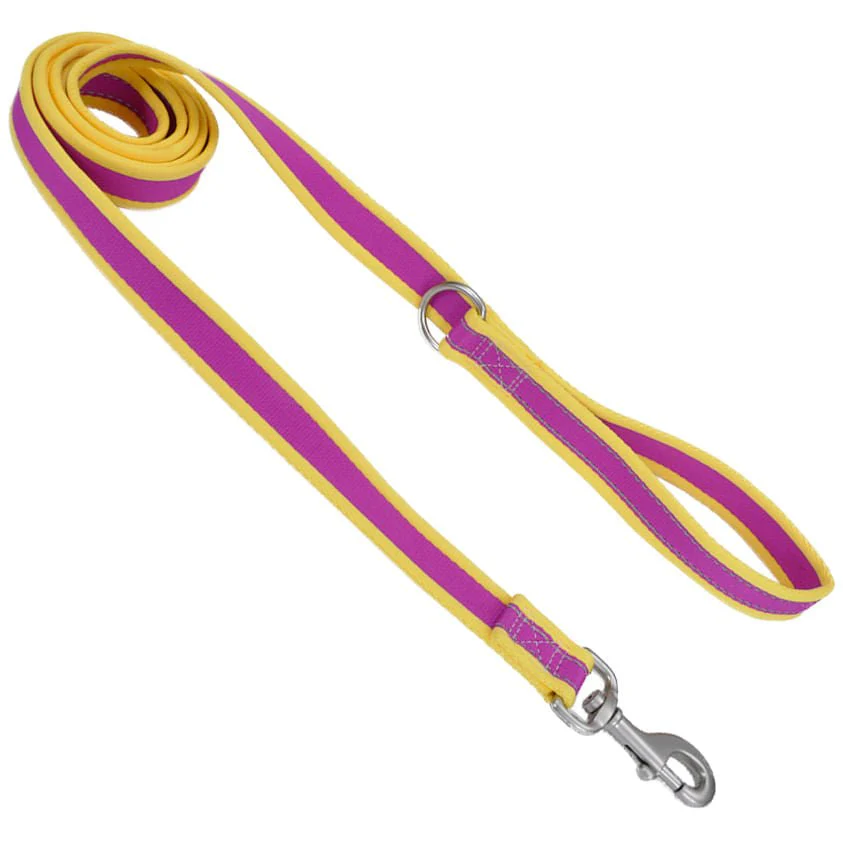 Coastal Pet Attire Pro Nylon Dog Leash, 6' x 3/4