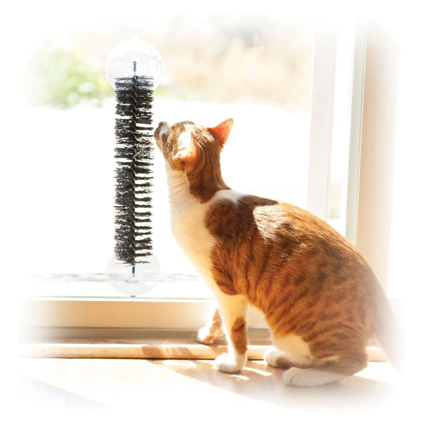 EZ Mount Self-Grooming Brush - Buy Pet Shop