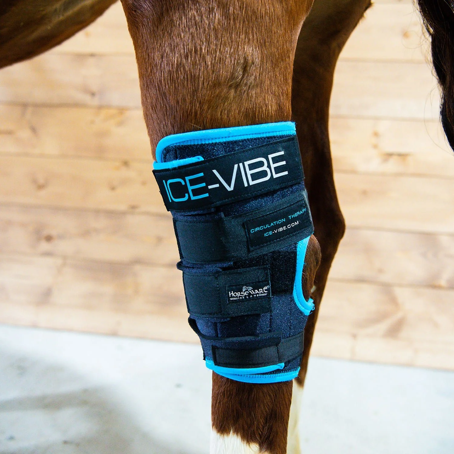 Ice Vibe Hock Wrap 8 Piece Horse Therapy Kit - Buy Pet Shop