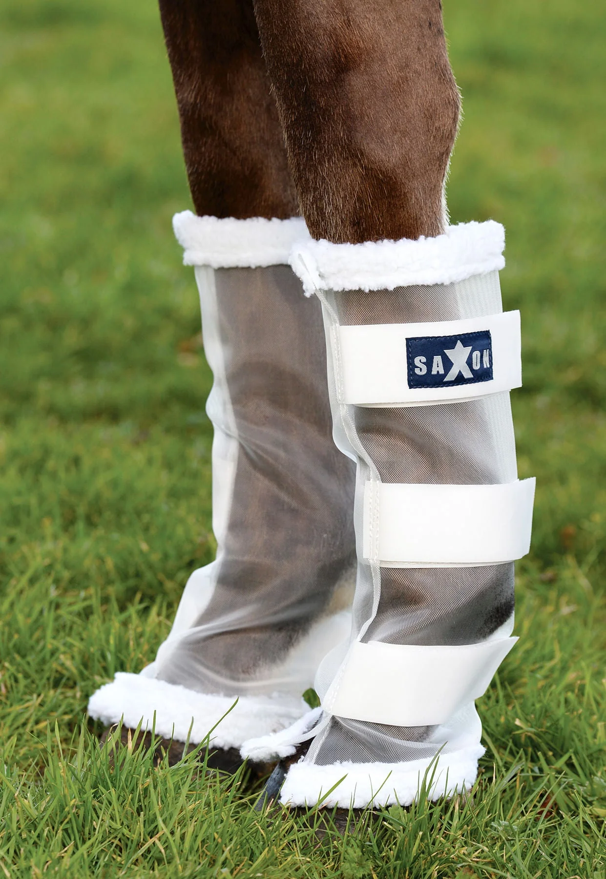 Saxon Leg Wraps Horse Fly Boots, Set of 4 - Buy Pet Shop