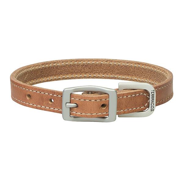 Terrain D.O.G. Harness Leather Dog Collar - Buy Pet Shop