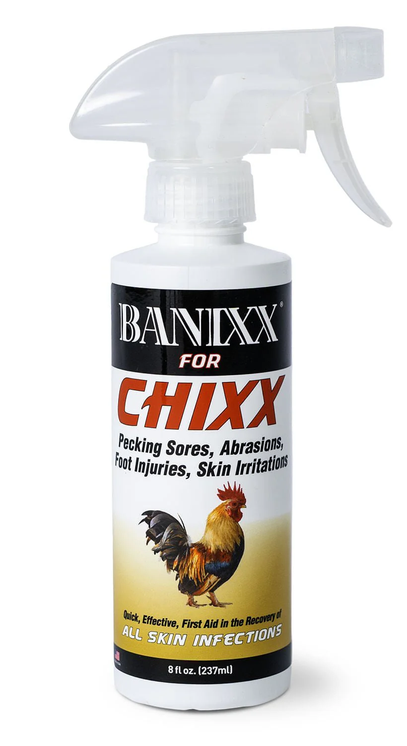 Banixx for Chixx - Buy Pet Shop