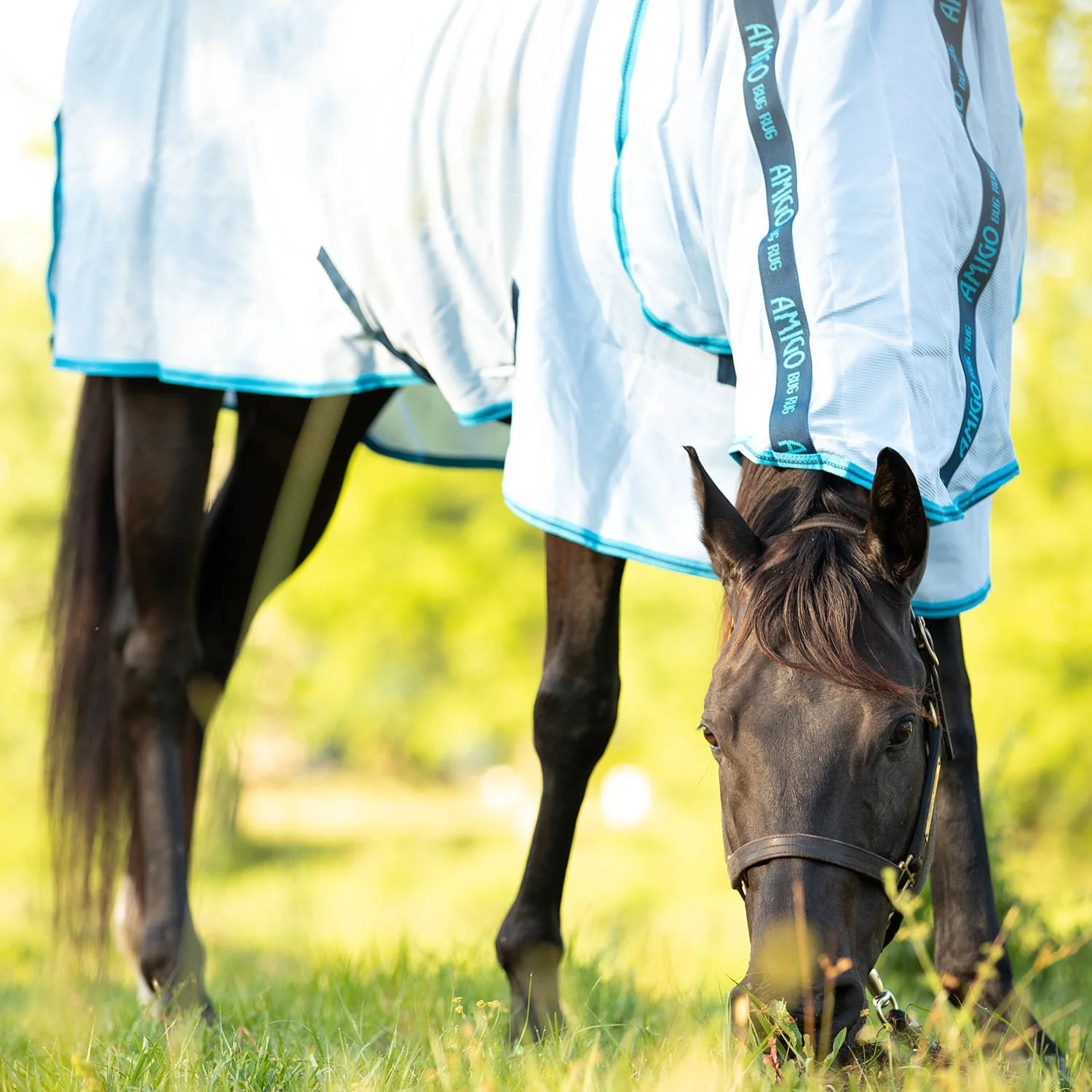 Amigo Bug Rug Horse Fly Sheet - Buy Pet Shop