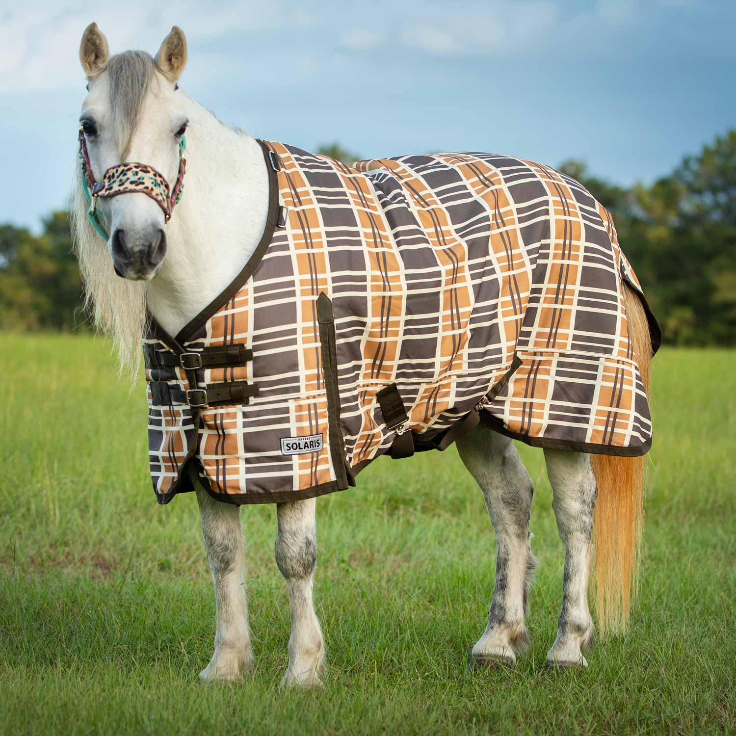 Pony Poppins Solaris Pony Horse Turnout Blanket, Brown & Cream Plaid - Buy Pet Shop
