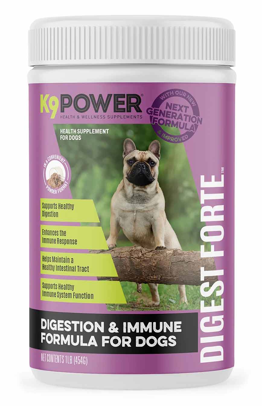 K9 Power Digest Forte Digestion & Immune Formula for Dogs - Buy Pet Shop