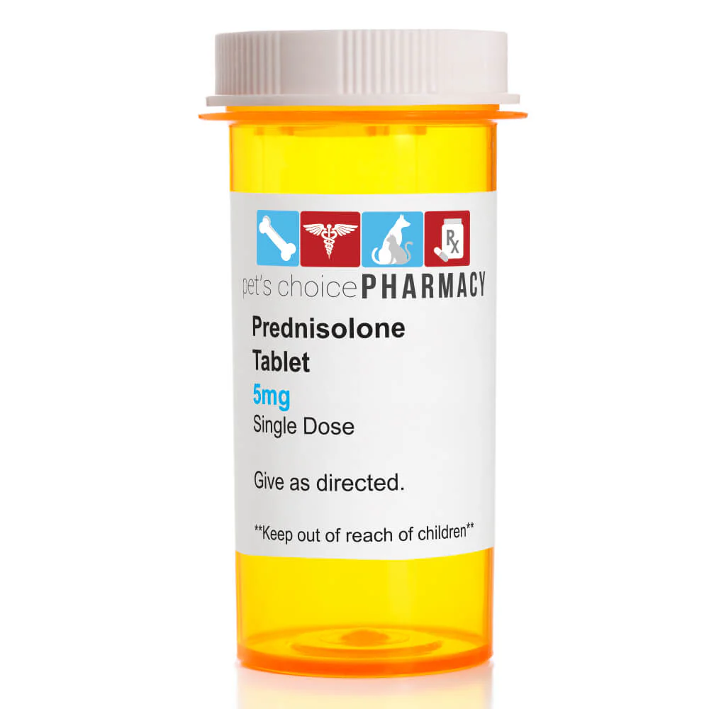 Rx PrednisTab (prednisolone) Oral Tablets - Buy Pet Shop