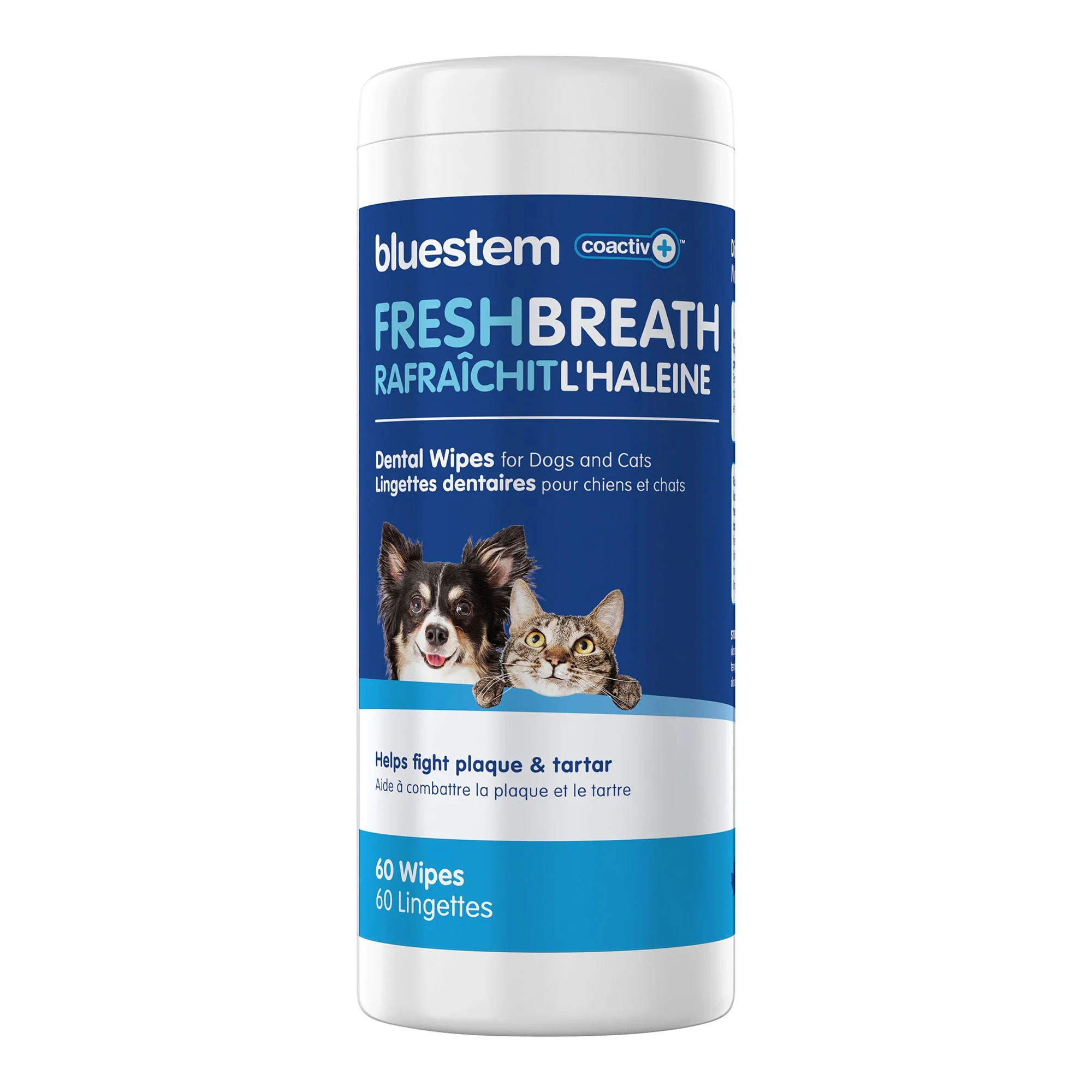 bluestem Dental Wipes, 60 ct - Buy Pet Shop