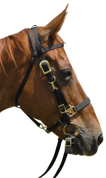 Nylon Combination Horse Halter Bridle with Reins - Buy Pet Shop