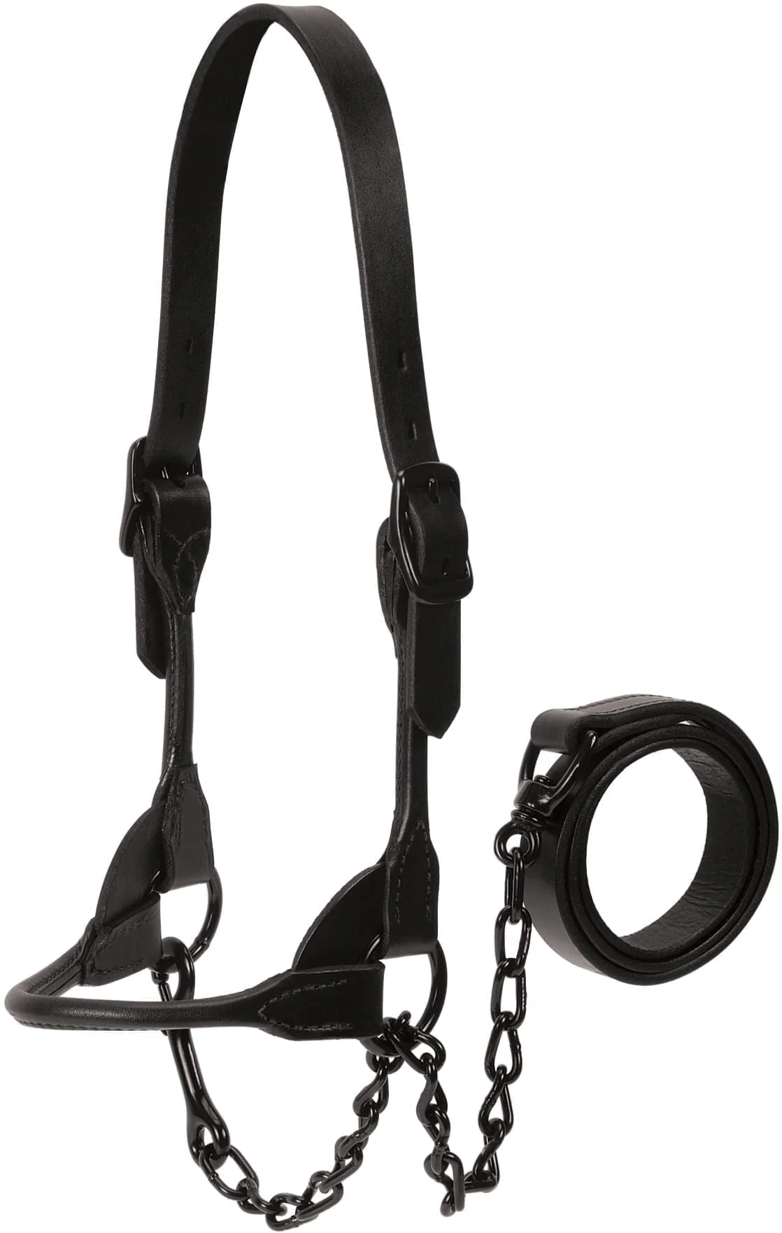 Kirk Stierwalt Black Magic Show Halter - Buy Pet Shop