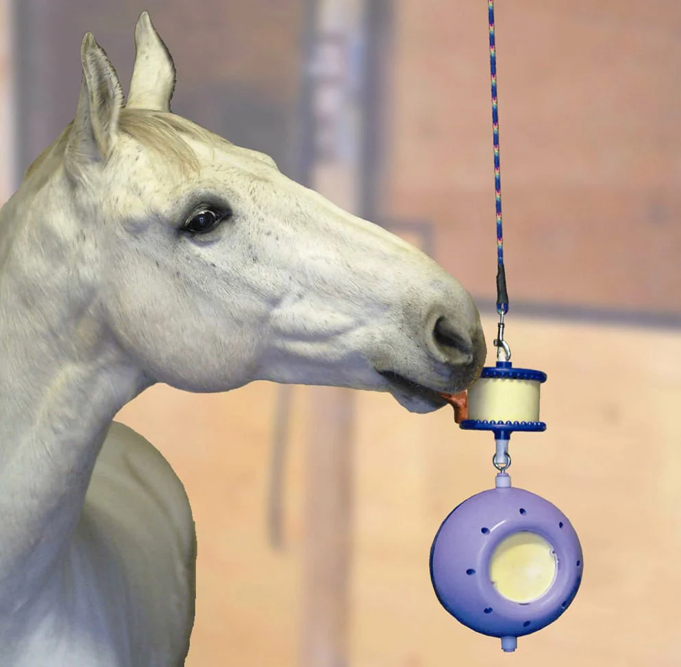 Likit Boredom Breaker for Horses - Buy Pet Shop