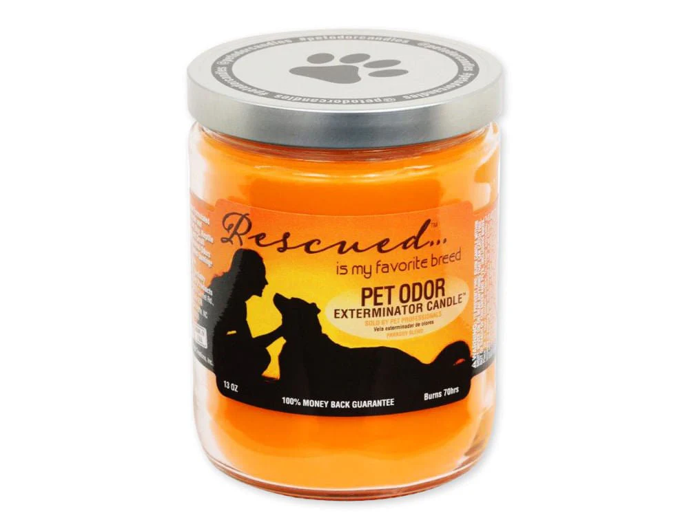 Pet Odor Exterminator Candle, Rescued - Buy Pet Shop