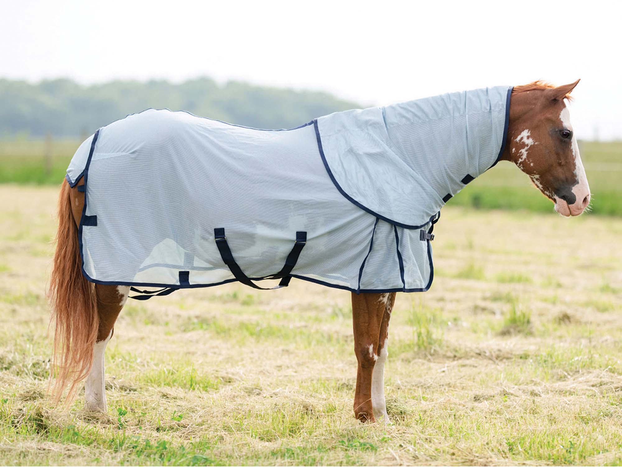 Professional's Choice Theramic Therapy Horse Fly Sheet - Buy Pet Shop