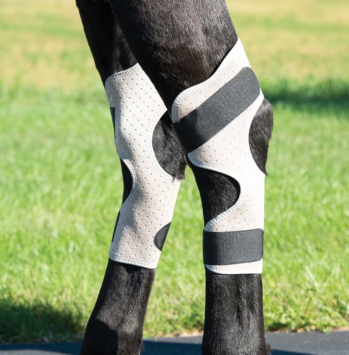 CoolCore Equine Icing and Cooling Hock Wraps - Buy Pet Shop