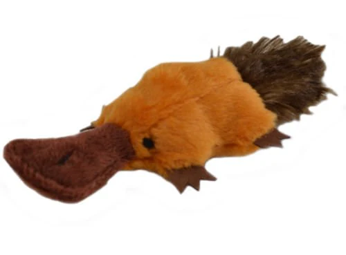 Platty Pup - Buy Pet Shop