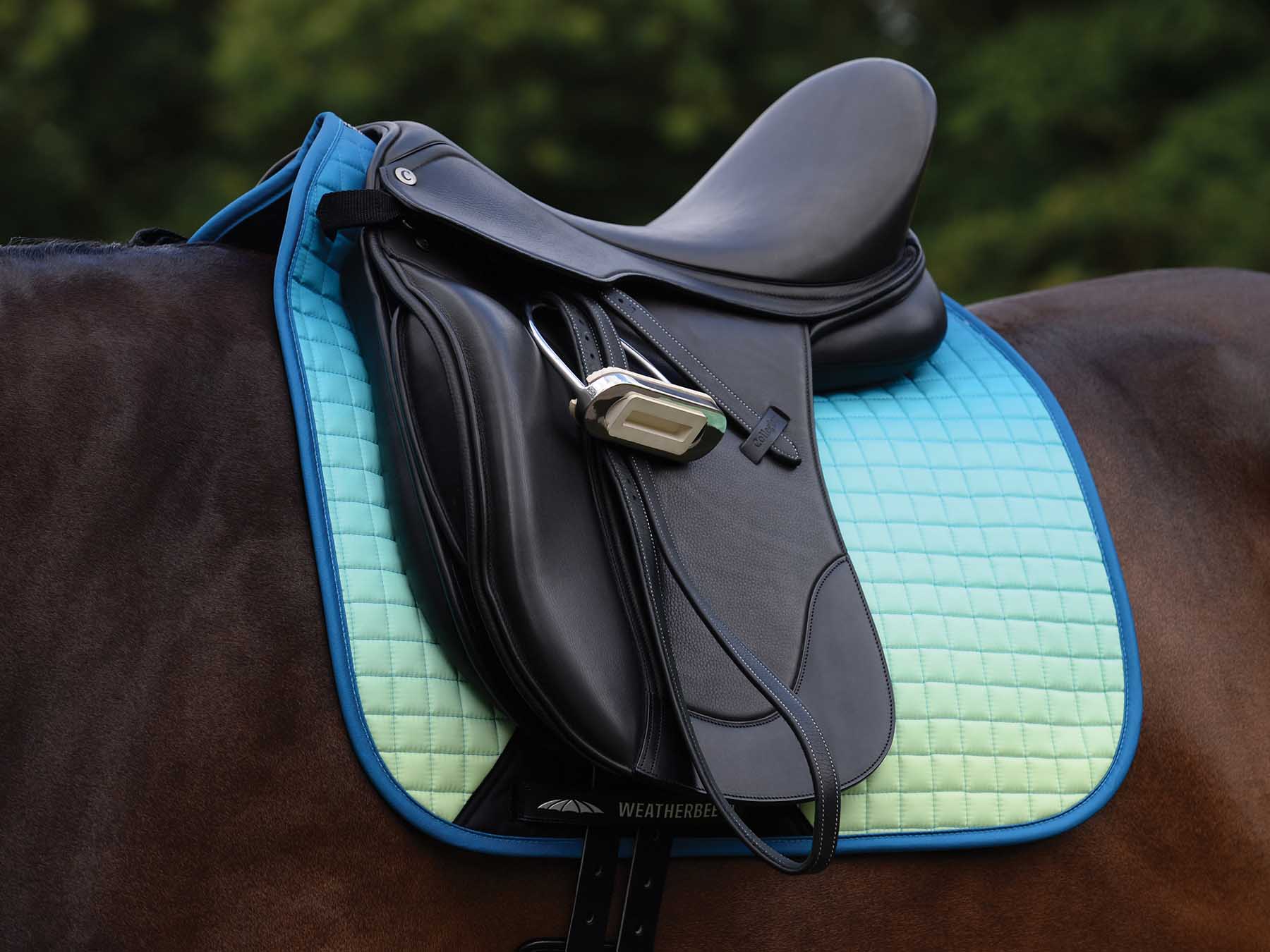 WeatherBeeta Prime Ombre Dressage Saddle Pad - Buy Pet Shop