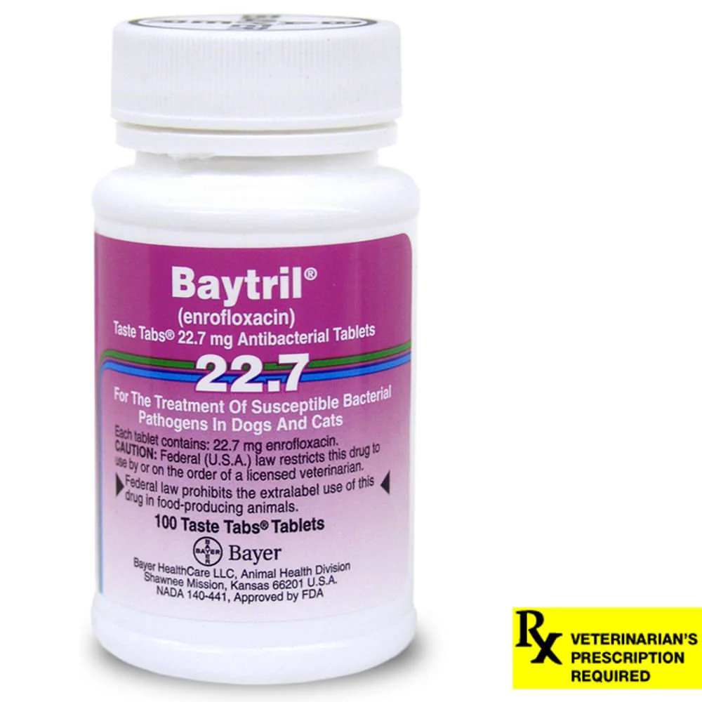 Rx Baytril (enrofloxacin) Coated Tablets for Cats & Dogs - Buy Pet Shop