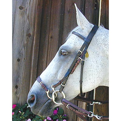 Kineton Noseband - Buy Pet Shop