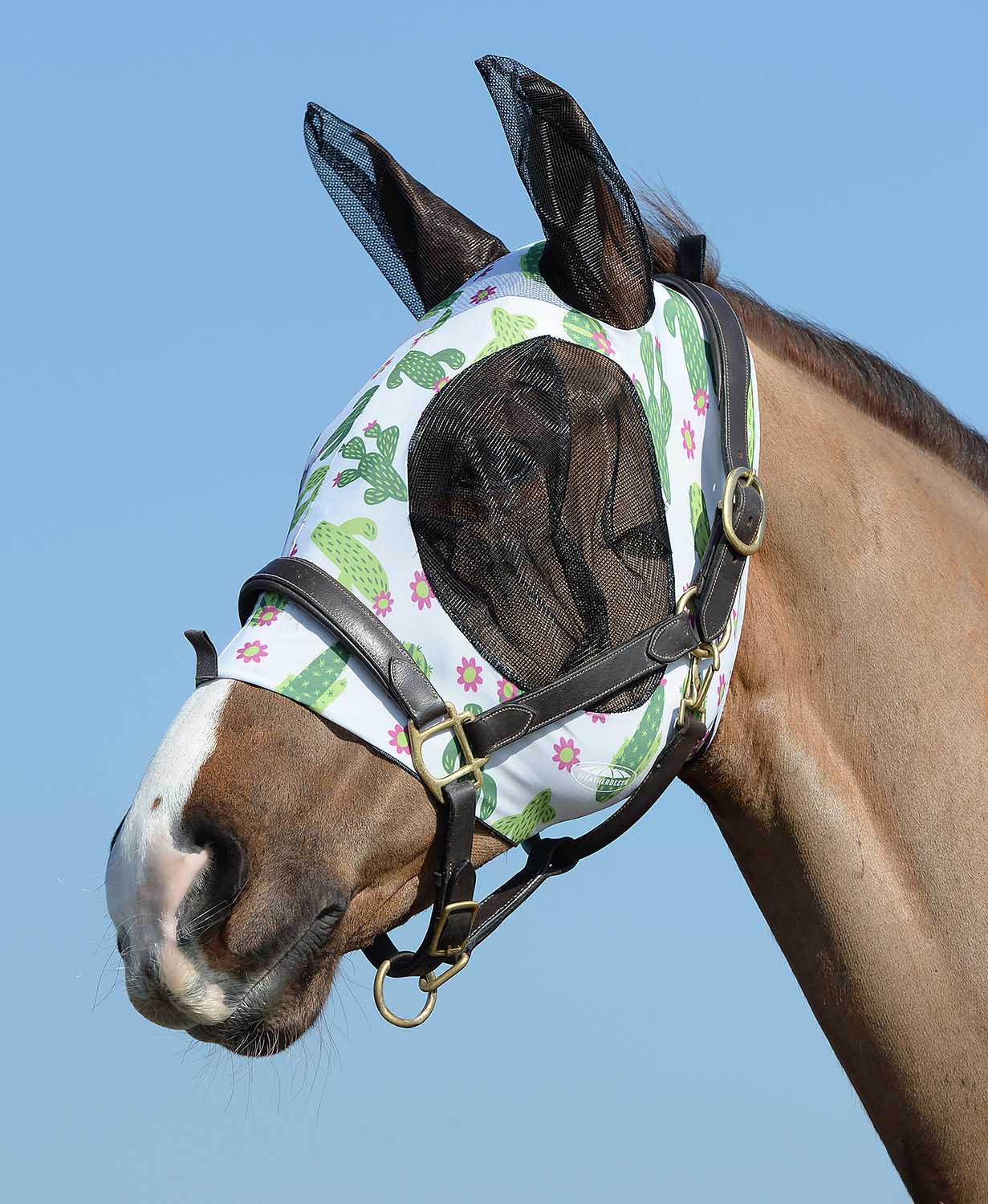 Weatherbeeta Stretch Bug Eye Saver Horse Fly Mask with Ears, Cactus - Buy Pet Shop