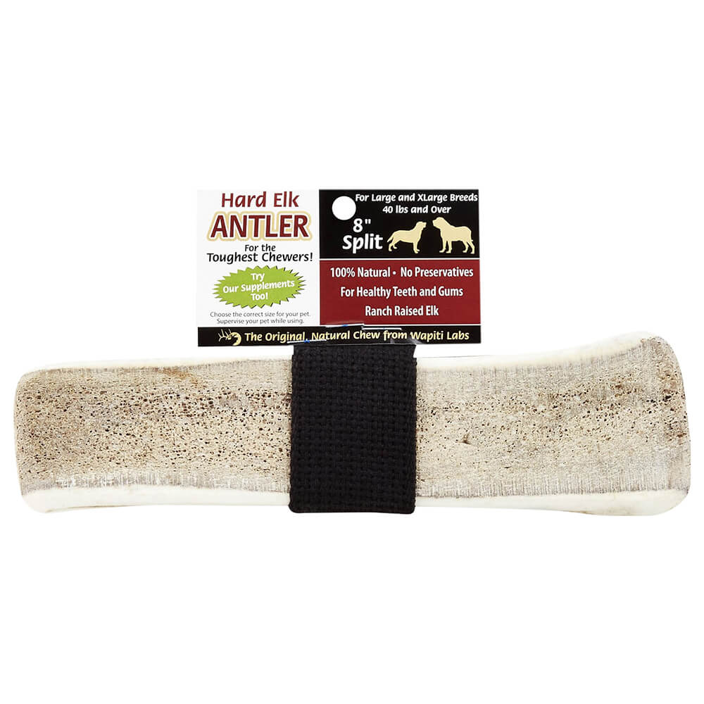 Wapiti Labs Elk Antler Dog Chews, 8