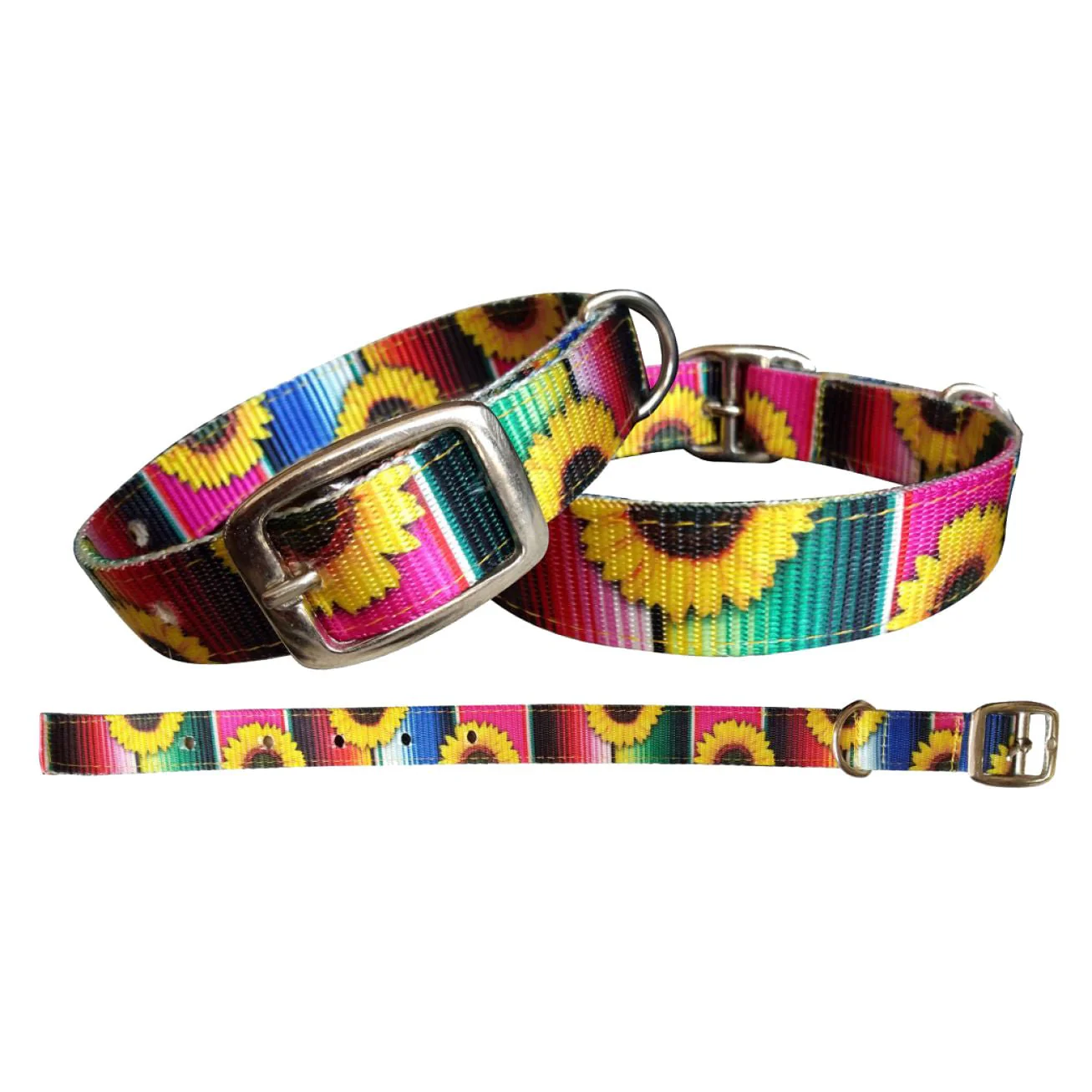 Showman Couture Serape & Sunflower Nylon Dog Collar - Buy Pet Shop