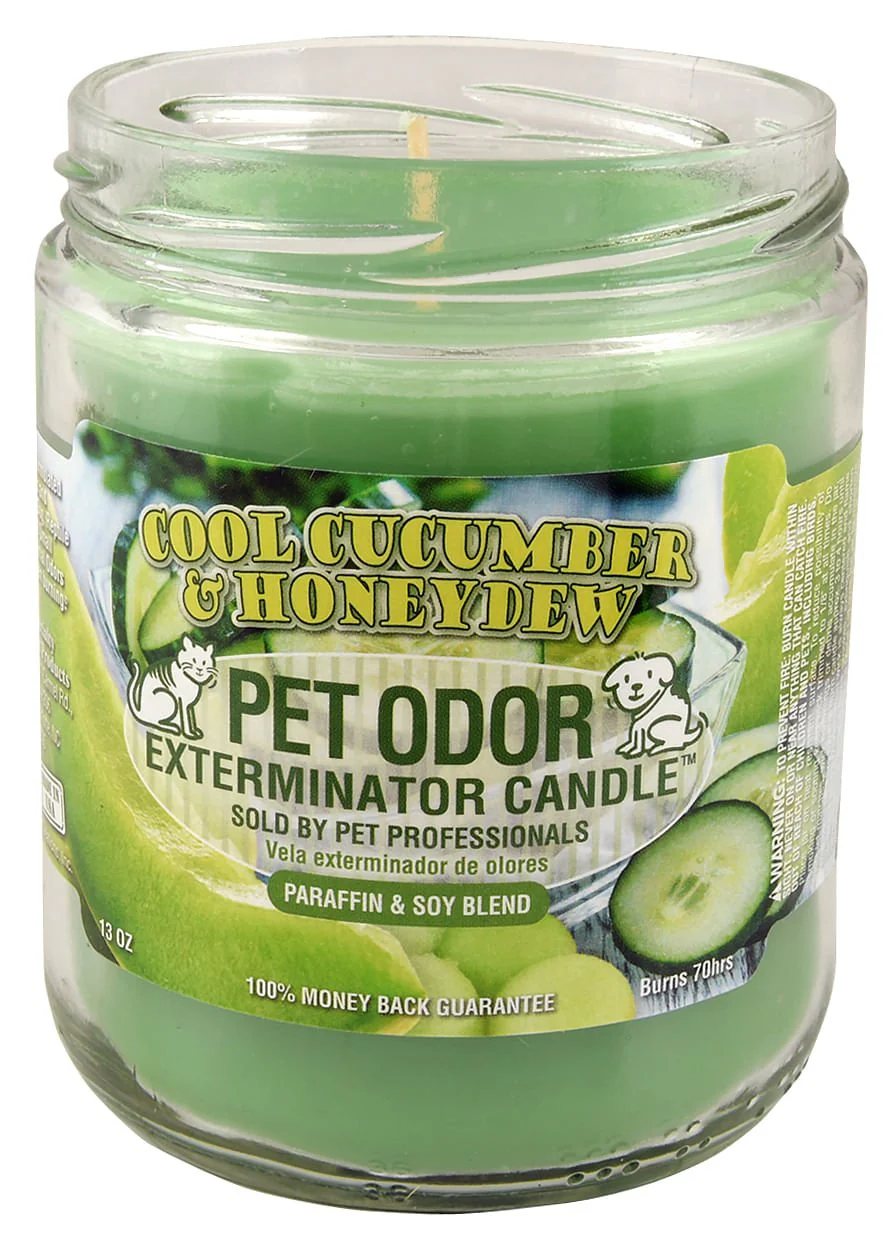 Pet Odor Exterminator Candle, Cool Cucumber & Honeydew, 13 oz - Buy Pet Shop