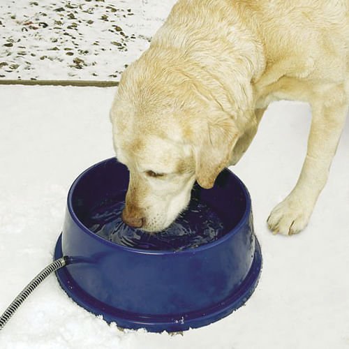 K&H Thermal-Bowl Heated Water Bowl - Buy Pet Shop