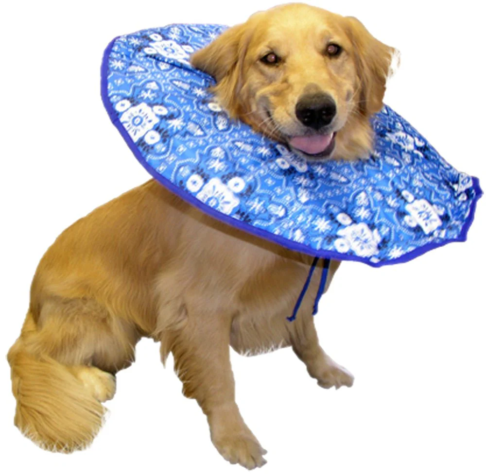 Soft E Dog Collar, XL, 75-95 lbs - Buy Pet Shop