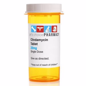 Rx Clindamycin (Generic) Tablets for Dogs - Buy Pet Shop