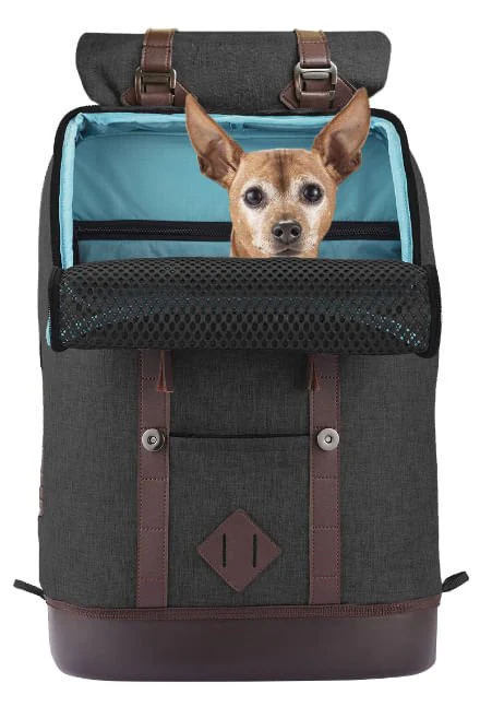 Kurgo K9 Rucksack Pet Carrier - Buy Pet Shop