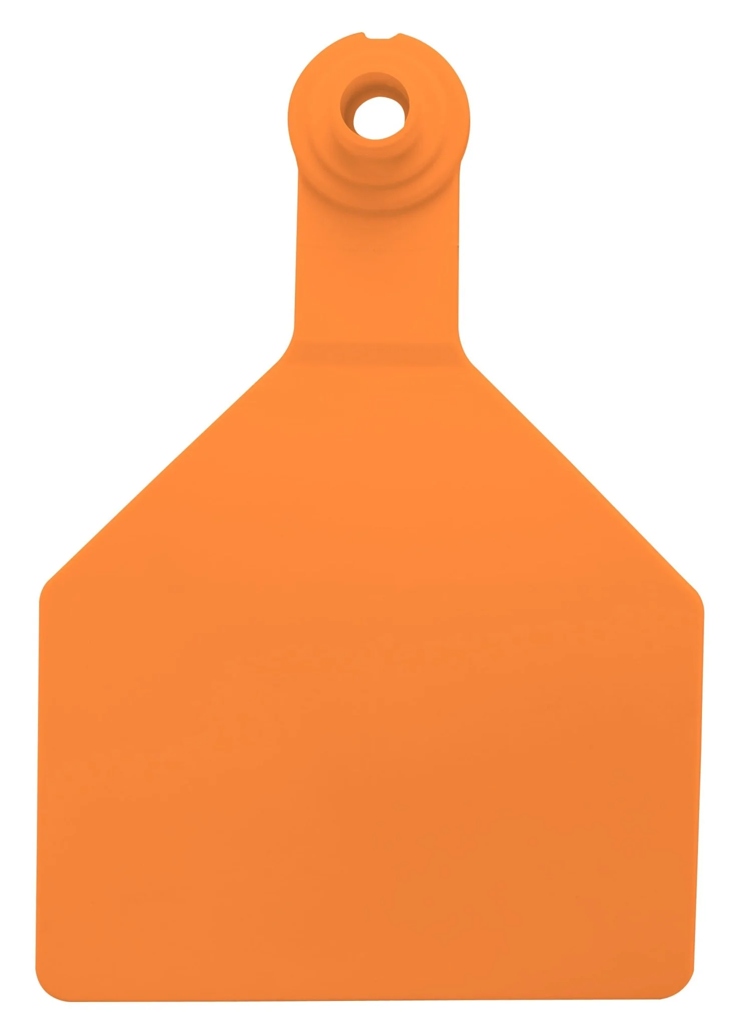 Special Order Z2 Tags - Stockman 2-Piece Blank Tags, 25 ct - Buy Pet Shop