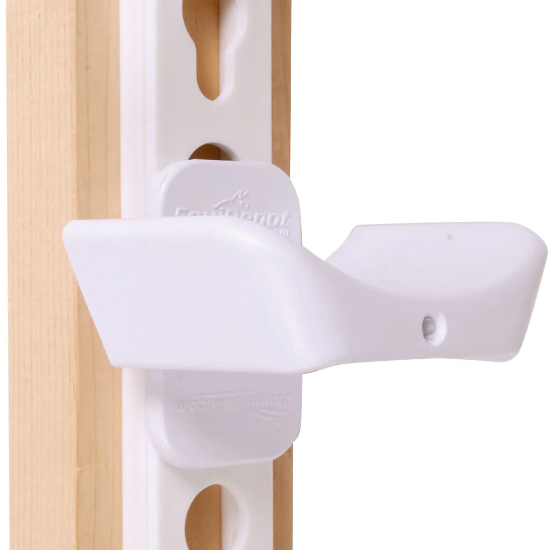 Roma Competition Jump Cups, Pair - Buy Pet Shop