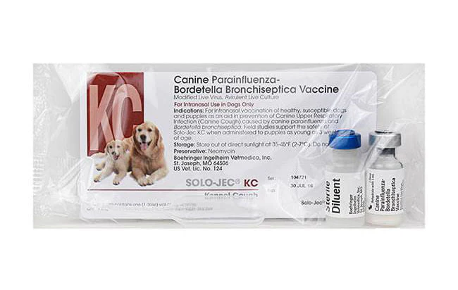 Solo-Jec KC (Kennel Cough) Intranasal Vaccine - Buy Pet Shop