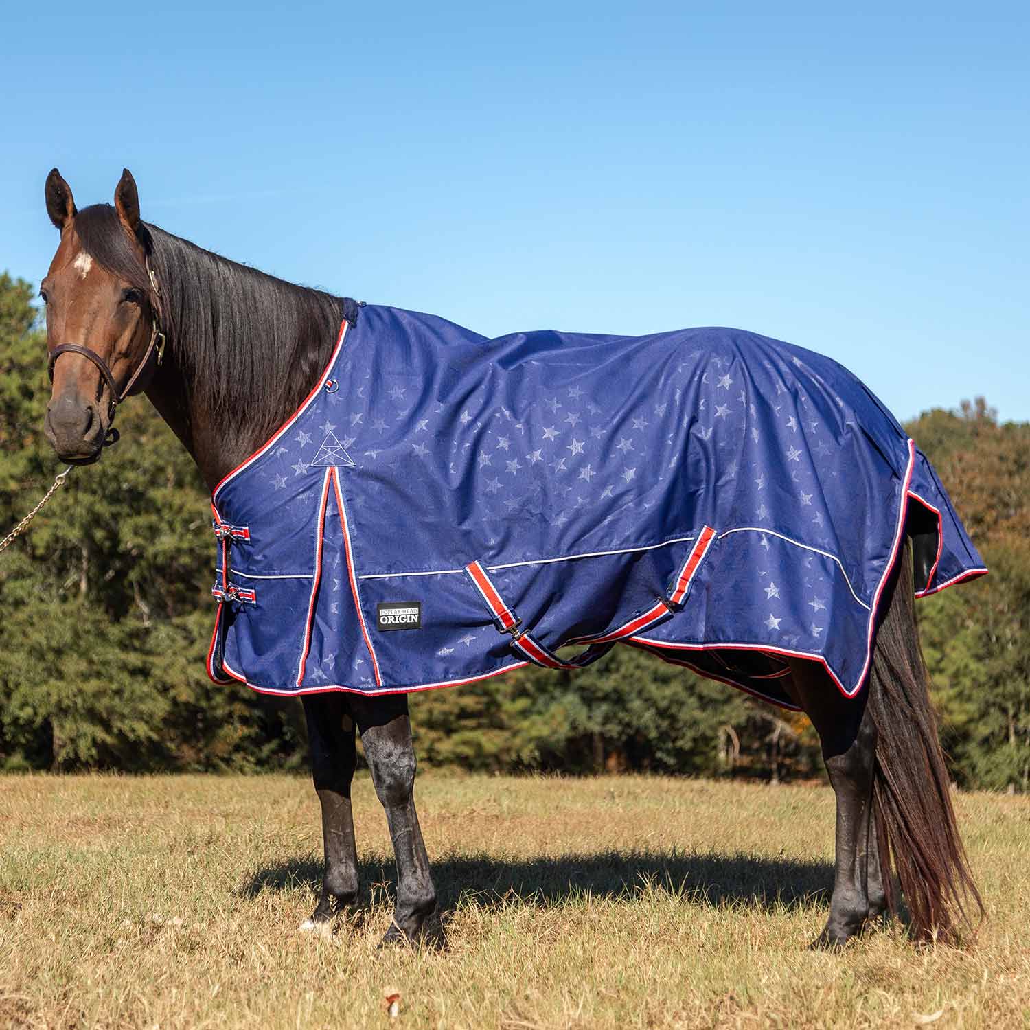 Poplar Head Origin 600 Denier Turnout Blanket, 240 Gram, Allegiance - Buy Pet Shop