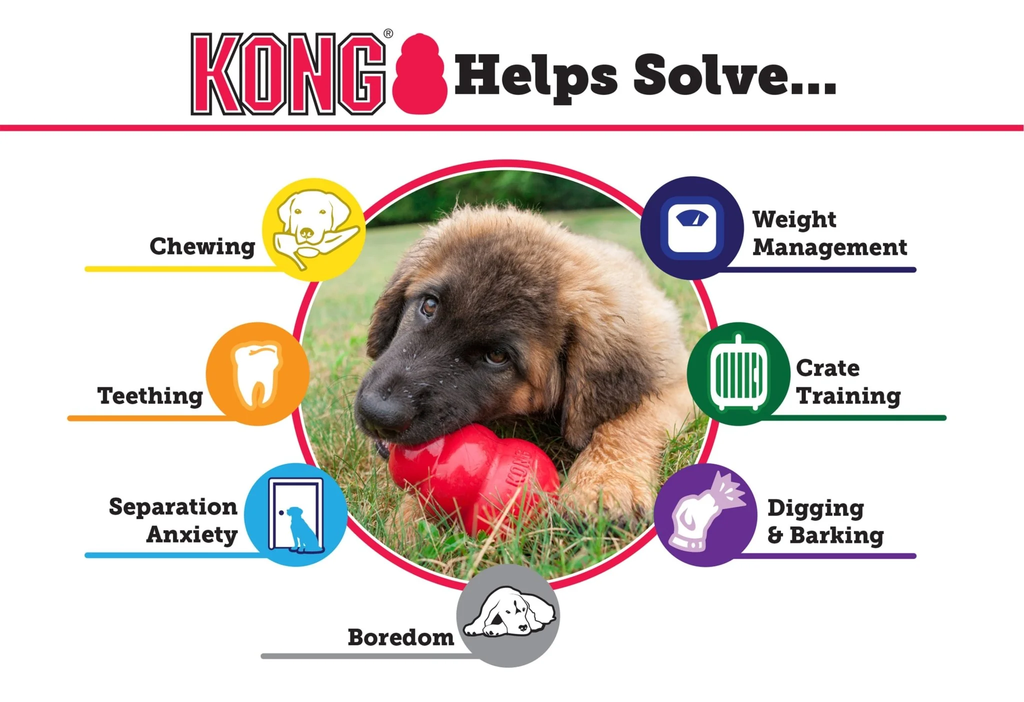 KONG Extreme Dog Toy for Power Chewers - Buy Pet Shop