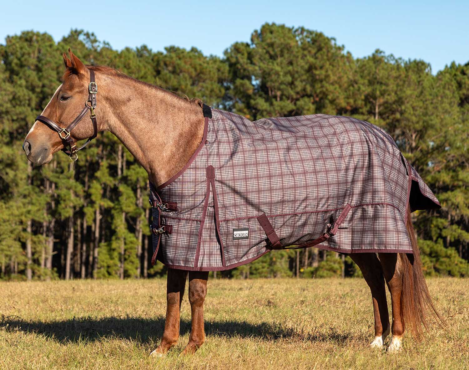 Poplar Head Origin 600 Denier Turnout Blanket, 240 Gram, Espresso and Wine Plaid - Buy Pet Shop