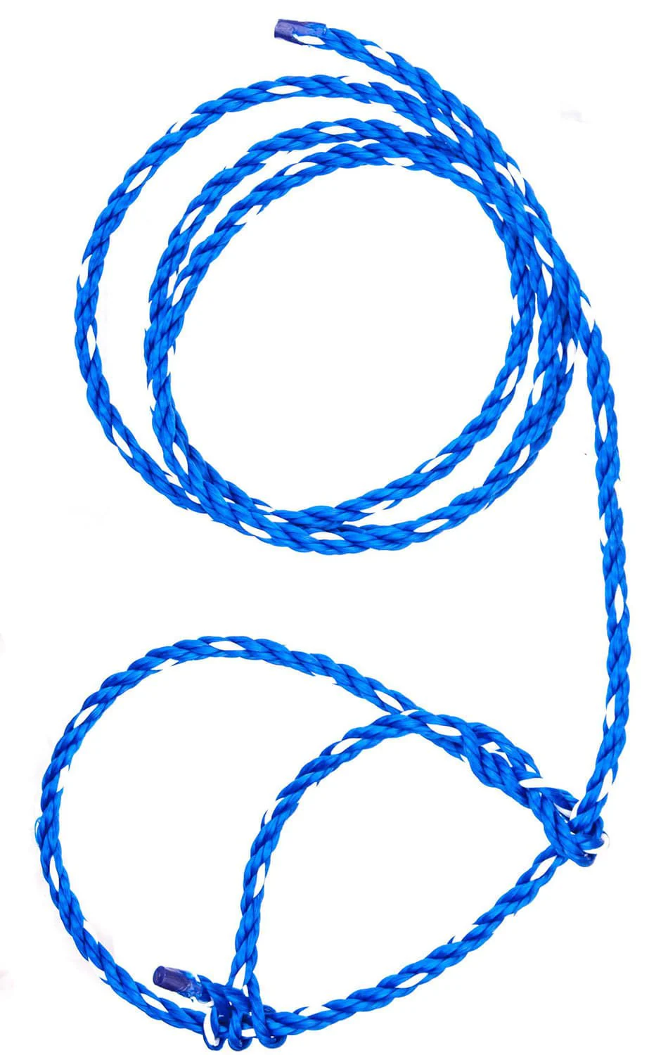 Troyer's Poly Calf Halter - Buy Pet Shop