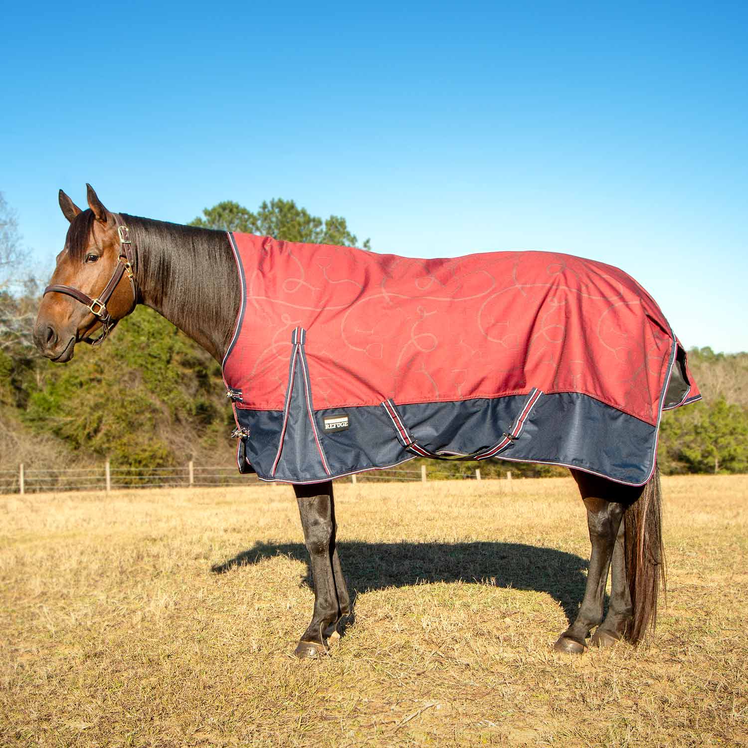 Poplar Head Uniquely English 1200 Denier Turnout Blanket with High Neck, 240 Gram, Merlot Snaffles & Irons - Buy Pet Shop