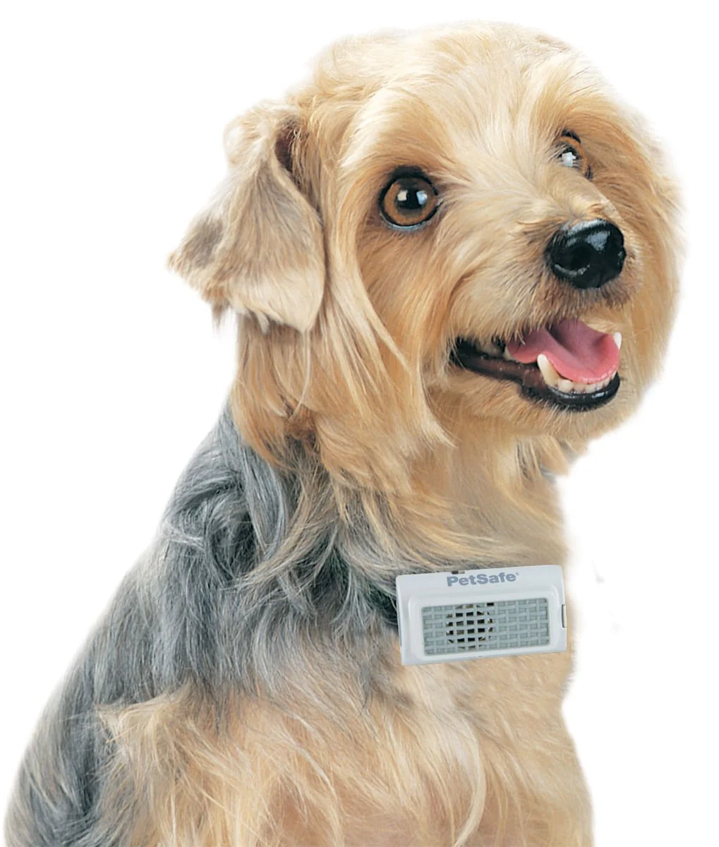 PetSafe Ultrasonic Bark Control Collar - Buy Pet Shop