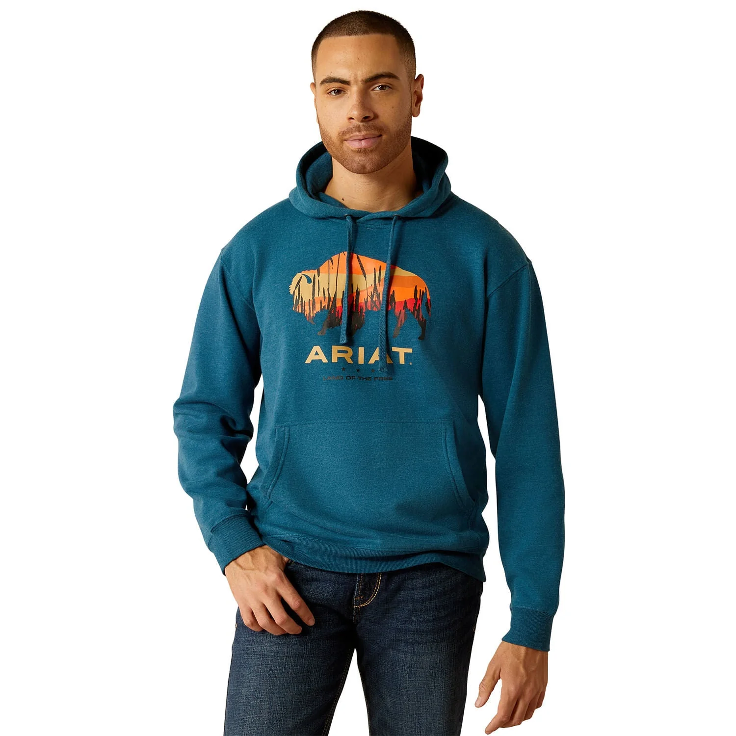 Ariat Men's Bison Plains Hoodie - Buy Pet Shop