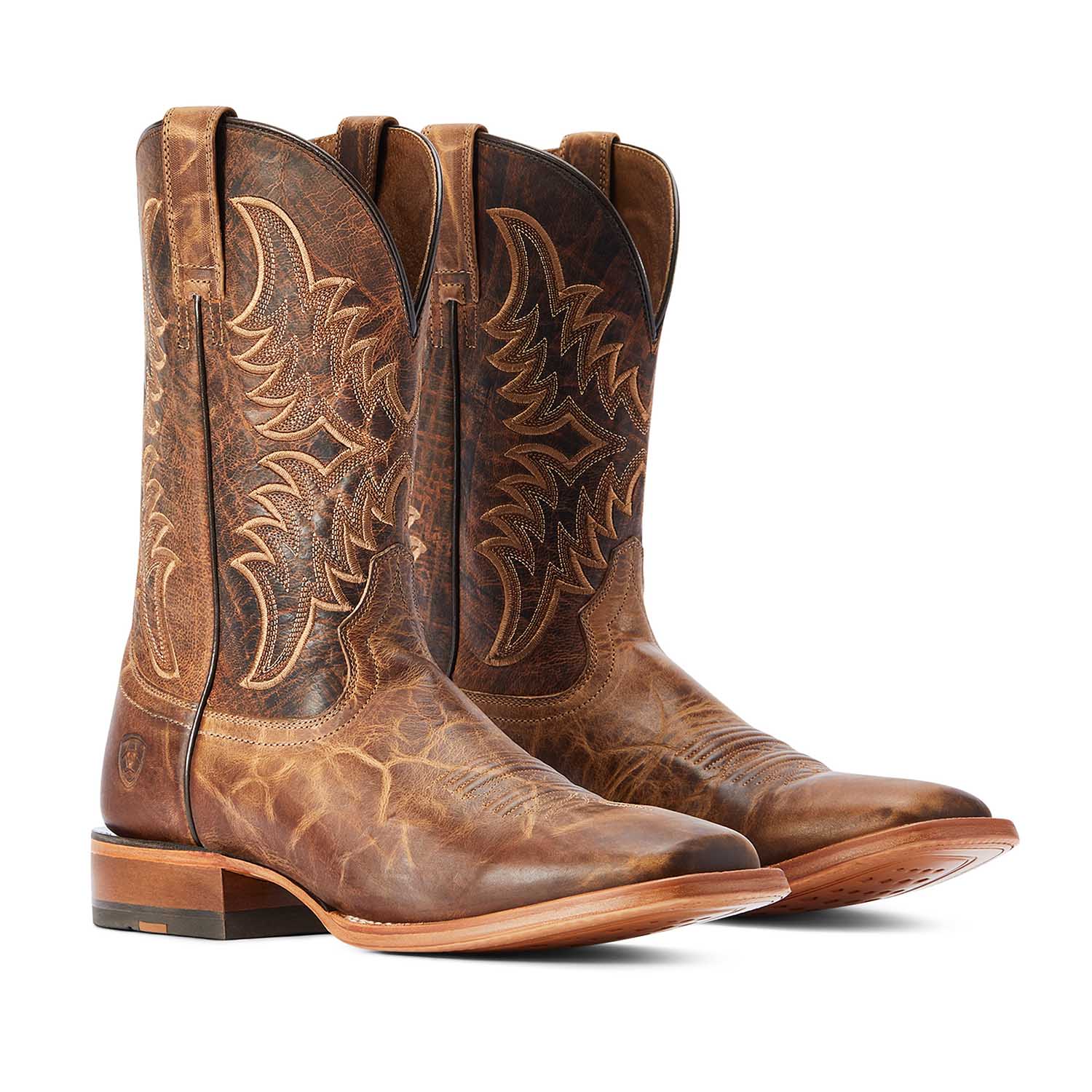 Ariat Men's Point Ryder Western Boot - Buy Pet Shop